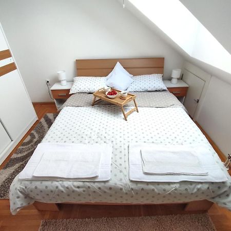 Apartman Ns Dan Private Parking Novi Sad Buitenkant foto