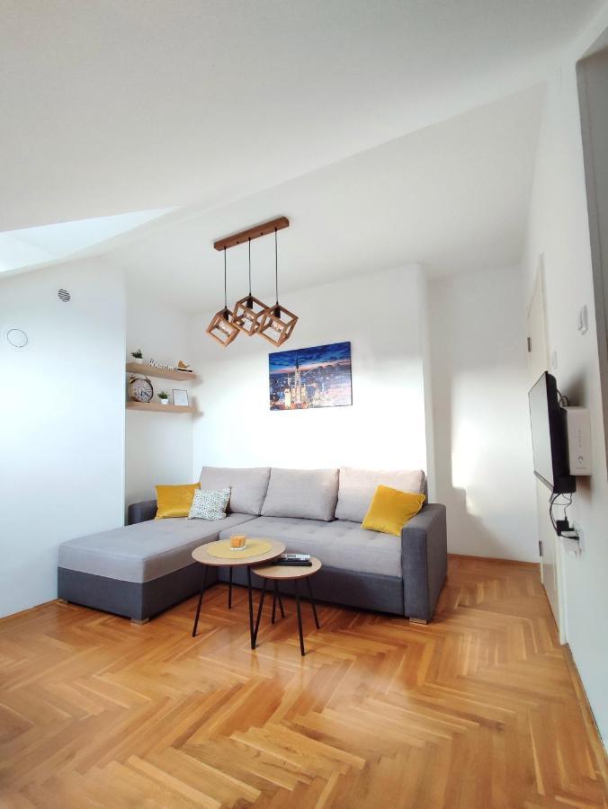 Apartman Ns Dan Private Parking Novi Sad Buitenkant foto