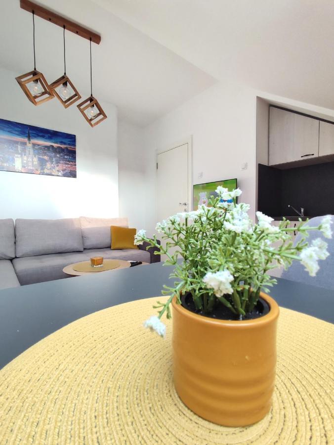 Apartman Ns Dan Private Parking Novi Sad Buitenkant foto