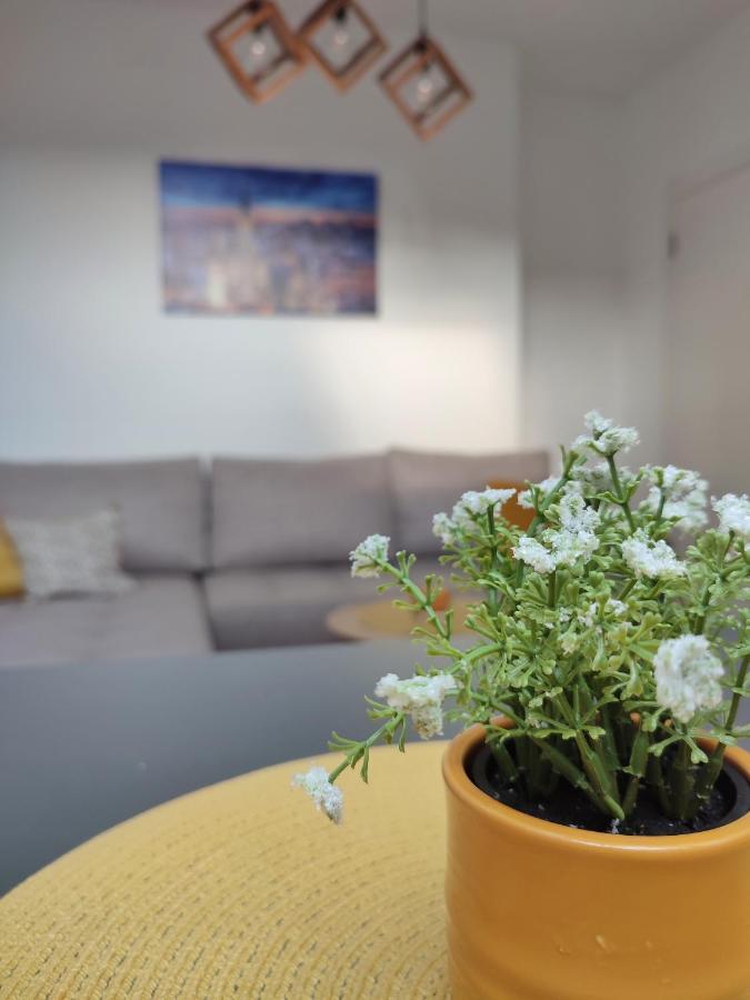 Apartman Ns Dan Private Parking Novi Sad Buitenkant foto